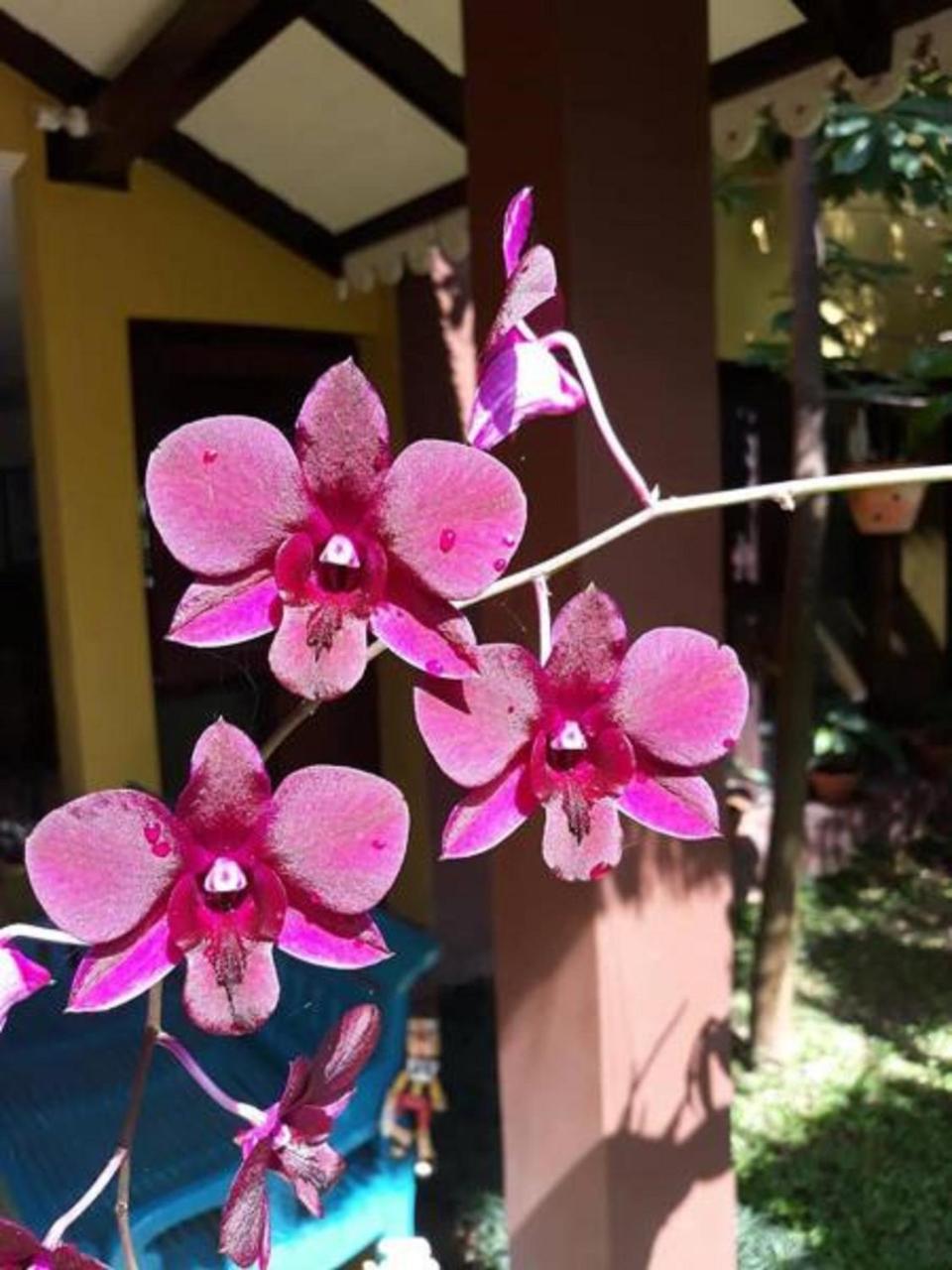 Thanakha Inle Hotel Nyaung Shwe Eksteriør bilde